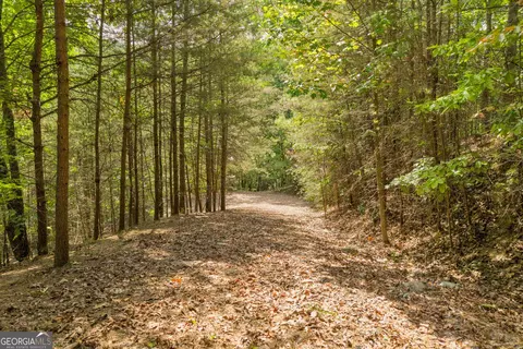 98 Sharp Mountain Pkwy, Jasper, GA 30143 photo 34