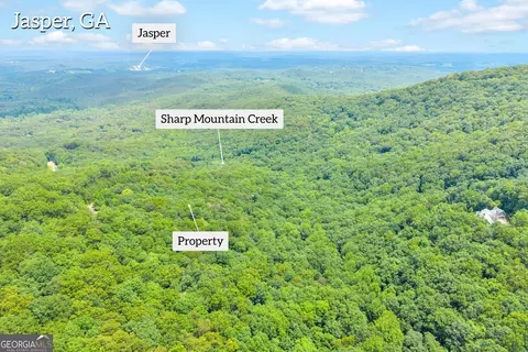 98 Sharp Mountain Pkwy, Jasper, GA 30143 photo 3