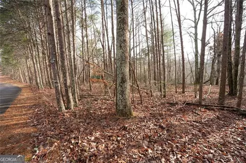 1 Amber Ct, Jasper, GA 30143 photo 8