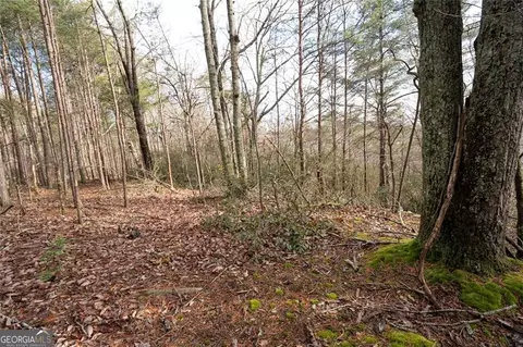 1 Amber Ct, Jasper, GA 30143 photo 3