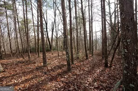 1 Amber Ct, Jasper, GA 30143 photo 11