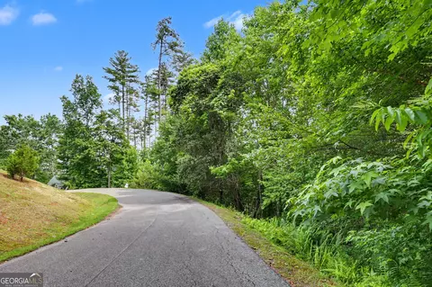 56 Walker Ridge Way, Mineral Bluff, GA 30559