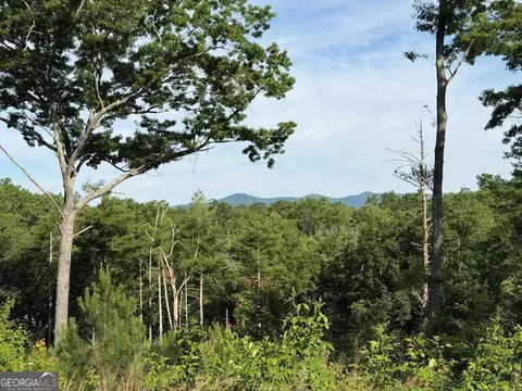 304 Greenwood Ford Road #304, Ellijay, GA 30540