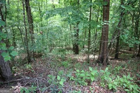 102 Village Court, Sparta, GA 31087