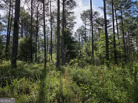 0 Perkins Road Perkins Rd, Barnesville, GA 30204