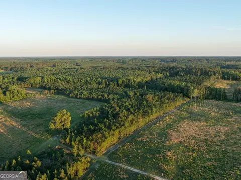 300 Beulah Rd, Sylvania, GA 30647