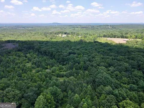 451 Two Rock Rd, Waco, GA 30182 photo 5