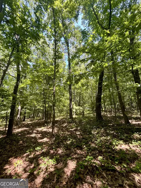 451 Two Rock Rd, Waco, GA 30182 photo 34