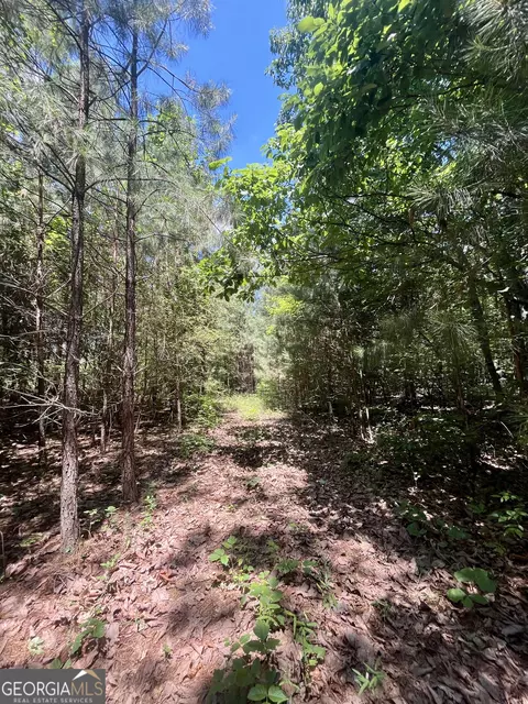 451 Two Rock Rd, Waco, GA 30182 photo 40