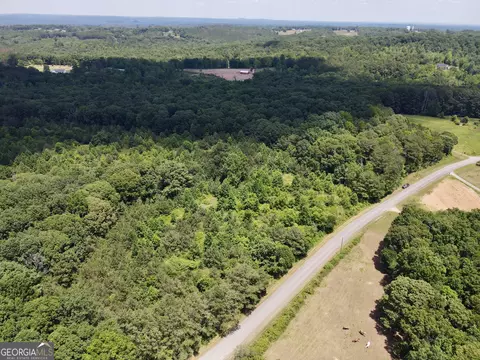 451 Two Rock Rd, Waco, GA 30182 photo 8
