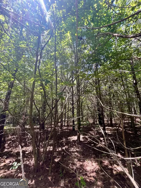 451 Two Rock Rd, Waco, GA 30182 photo 39