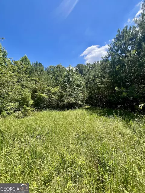 451 Two Rock Rd, Waco, GA 30182 photo 37