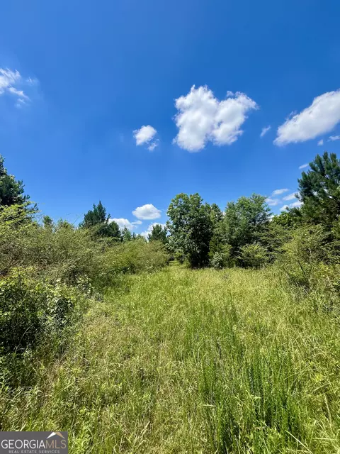 451 Two Rock Rd, Waco, GA 30182 photo 36