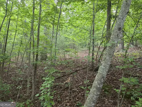 2 Lots Oak Frst, Clarkesville, GA 30523