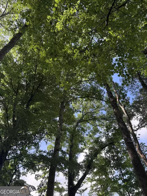 0 Po Biddy Rd, Thomaston, GA 30286