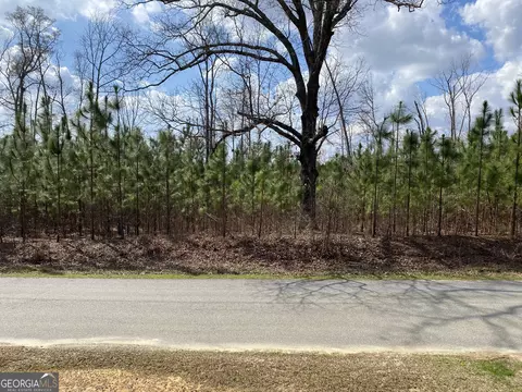 0 Parcel 3 Baker Rd, Waverly Hall, GA 31831
