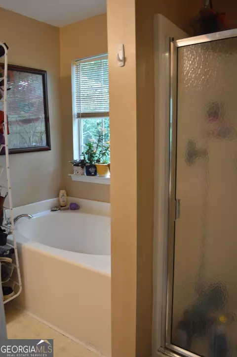 Bath - 130 Riverbrooke Trl, Covington, GA 30016 photo 4 of 5