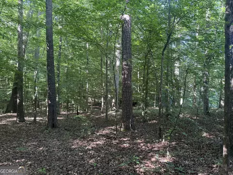 435 N 27 Hwy, Roopville, GA 30170