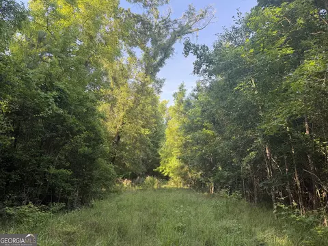 0 Branan Rd, Toomsboro, GA 31090