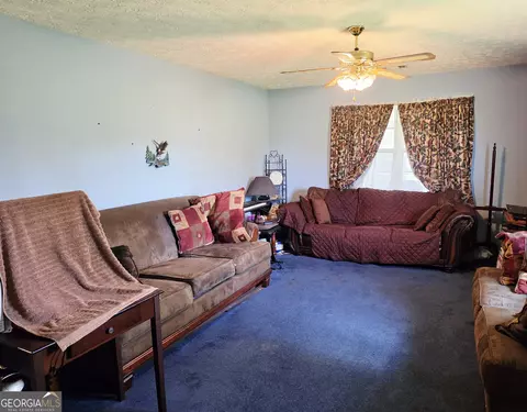 1901 Sawmill Rd, Ailey, GA 30410 photo 2