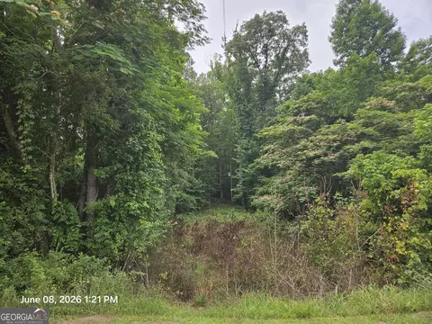 0 Davis Rd, Macon, GA 31217 photo 5