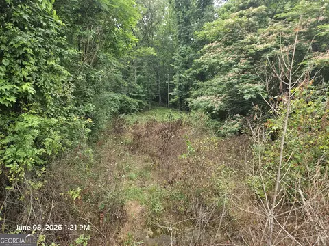 0 Davis Rd, Macon, GA 31217 photo 2