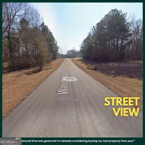 15 Walnut Ridge Ct, Covington, GA 30014 photo 12