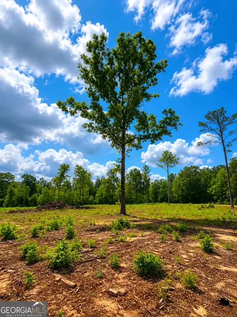 0 White Rd #1, Pine Mountain, GA 31822