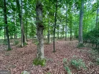 0 Bethany Rd, Madison, GA 30650 photo 12