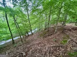 0 Bethany Rd, Madison, GA 30650 photo 21