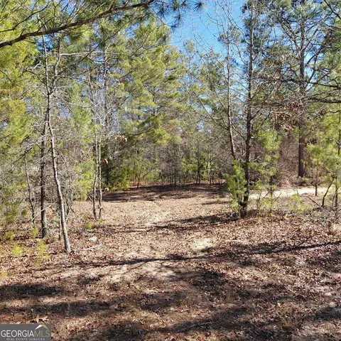 100 Sparrow Dr, Box Springs, GA 31801