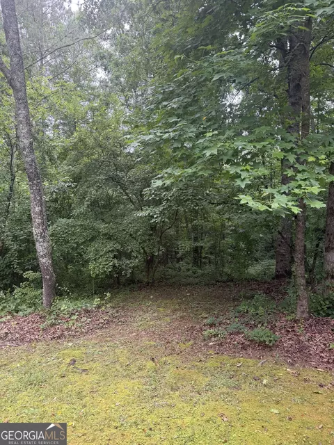 Exterior - 406 Covered Bridge Rd, Covington, GA 30016 photo 6 of 20