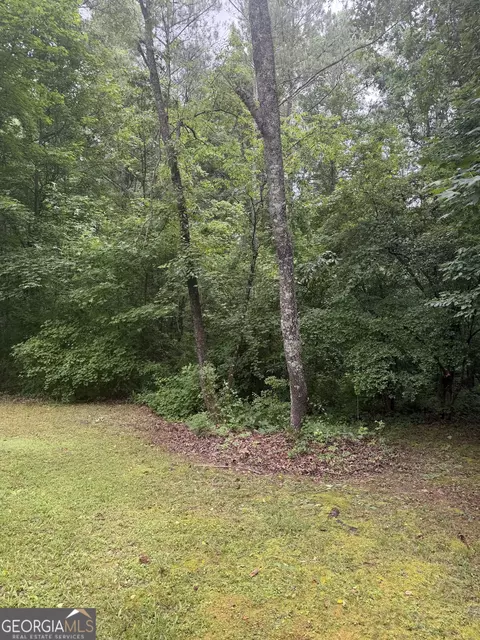 Exterior - 406 Covered Bridge Rd, Covington, GA 30016 photo 4 of 20