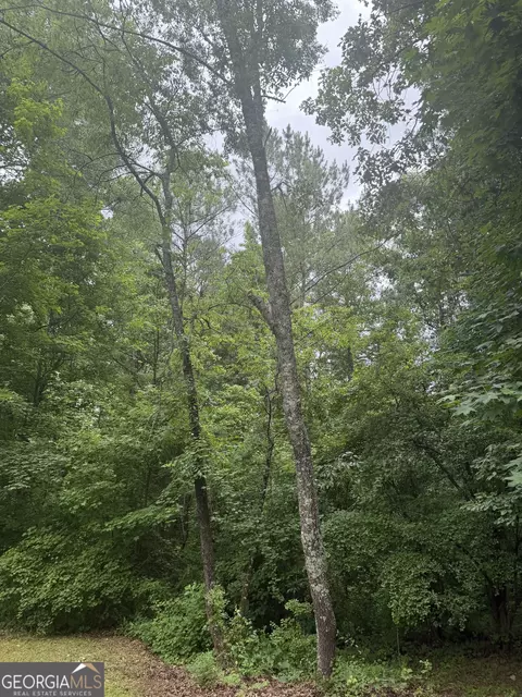 Other - 406 Covered Bridge Rd, Covington, GA 30016 photo 1 of 26