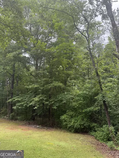 Other - 406 Covered Bridge Rd, Covington, GA 30016 photo 2 of 26