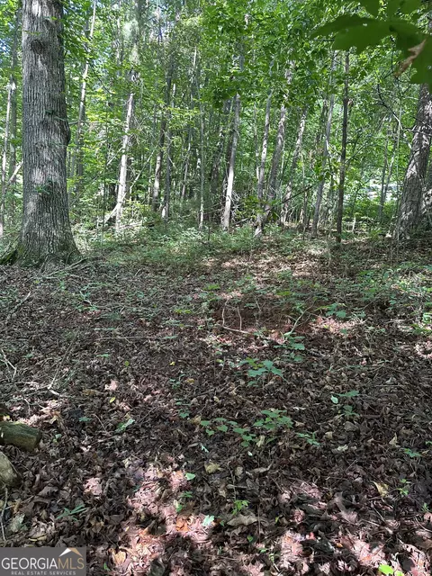 0 View St, Clarkesville, GA 30523 photo 6