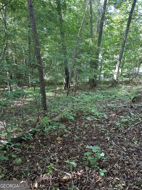 0 View St, Clarkesville, GA 30523