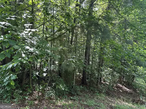 0 View St, Clarkesville, GA 30523 photo 16