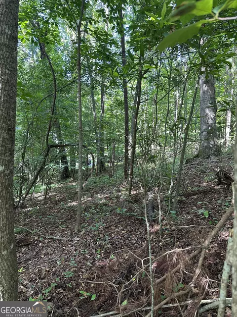 0 View St, Clarkesville, GA 30523 photo 11