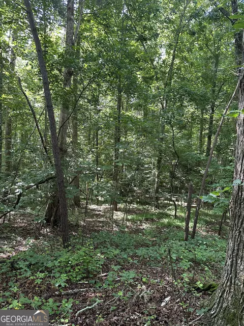 0 View St, Clarkesville, GA 30523 photo 2