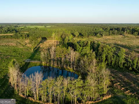 005 Beulah Road Tract 5, Sylvania, GA 30467