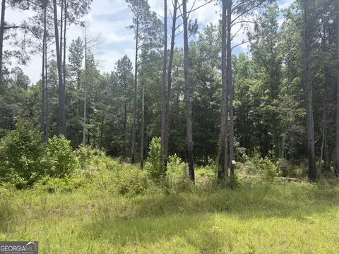 1 Sunhill Grange Rd, Davisboro, GA 31018