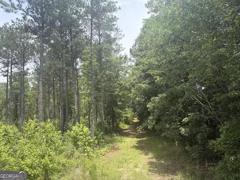 2 Sunhill Grange Rd, Davisboro, GA 31018