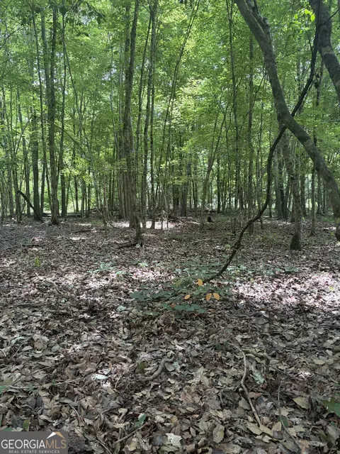 3 Sunhill Grange Rd, Davisboro, GA 31018