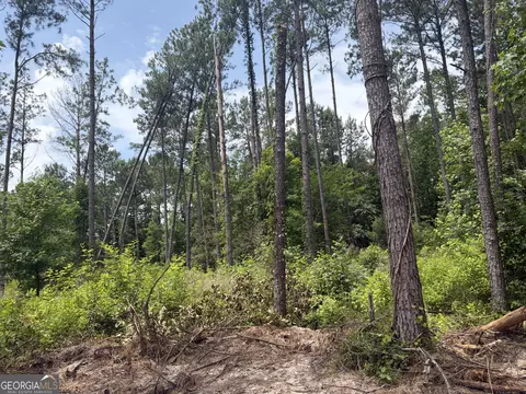 5 Sunhill Grange Rd, Davisboro, GA 31018