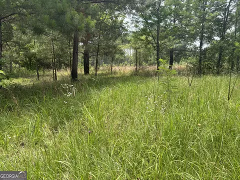 6 Sunhill Grange Rd, Davisboro, GA 31018
