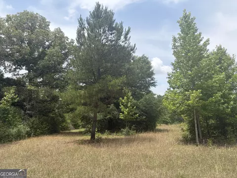 8 Sunhill Grange Rd, Davisboro, GA 31018