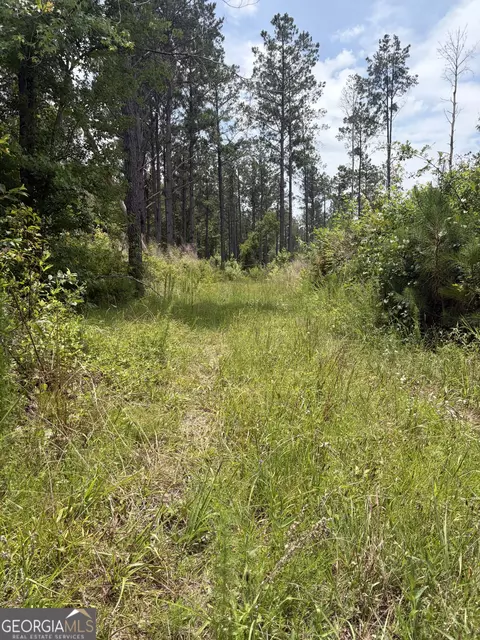 9 Sunhill Grange Rd, Davisboro, GA 31018