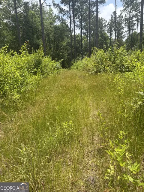 10 Sunhill Grange Rd, Davisboro, GA 31018