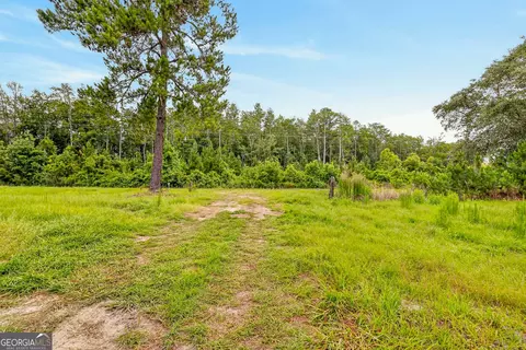 Other - 6401 Riverside Rd #TRACT 2, Nahunta, GA 31553 photo 15 of 18